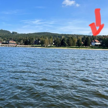 リプノ・ナト・ヴルタヴォウRiviera Lipno 415アパートメント エクステリア 写真