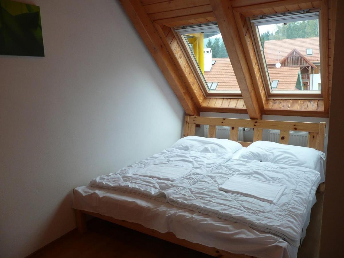 リプノ・ナト・ヴルタヴォウRiviera Lipno 415アパートメント 部屋 写真