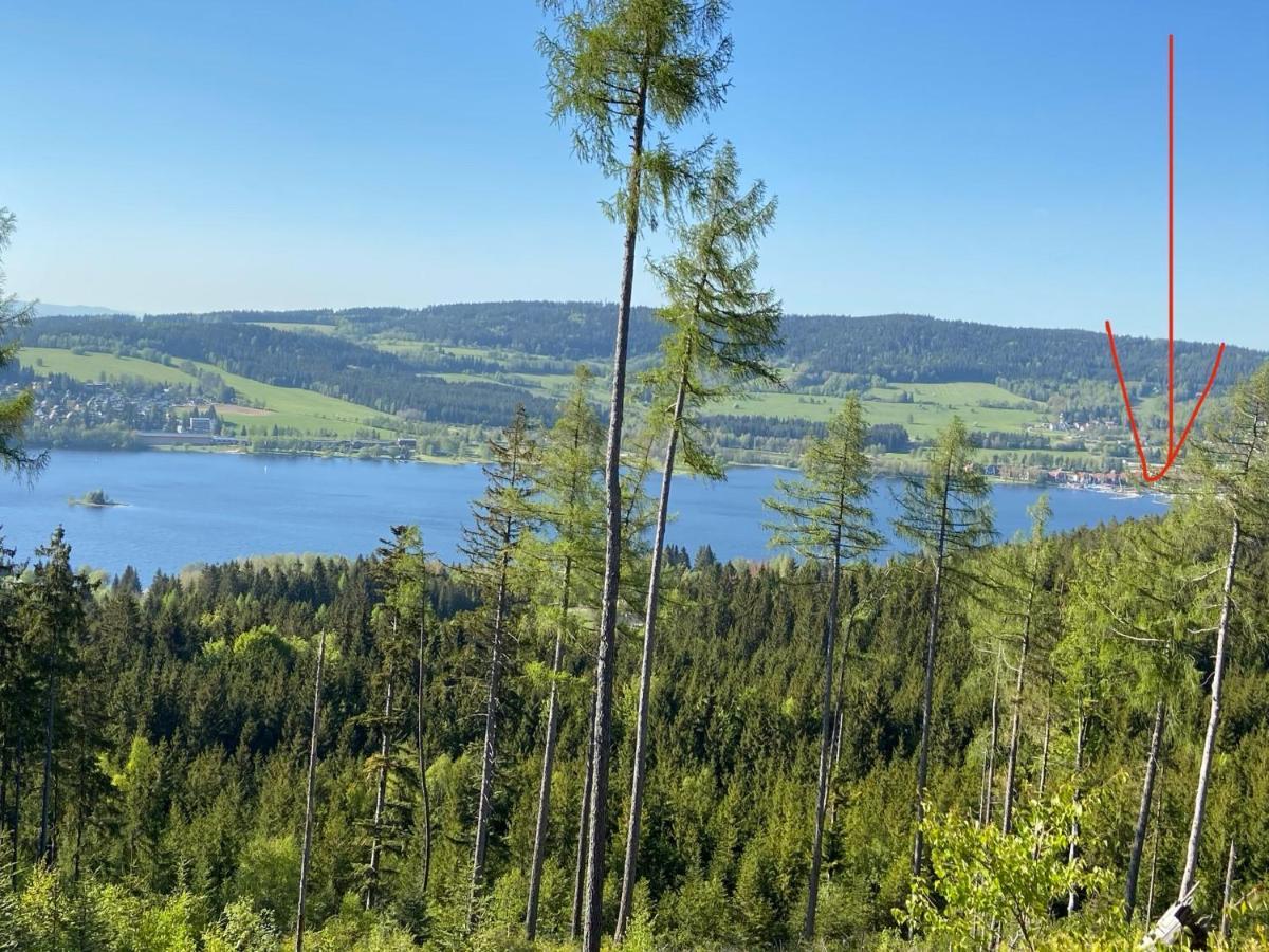 リプノ・ナト・ヴルタヴォウRiviera Lipno 415アパートメント エクステリア 写真