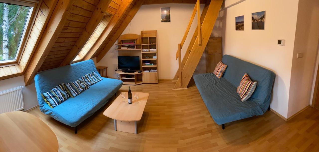 リプノ・ナト・ヴルタヴォウRiviera Lipno 415アパートメント エクステリア 写真