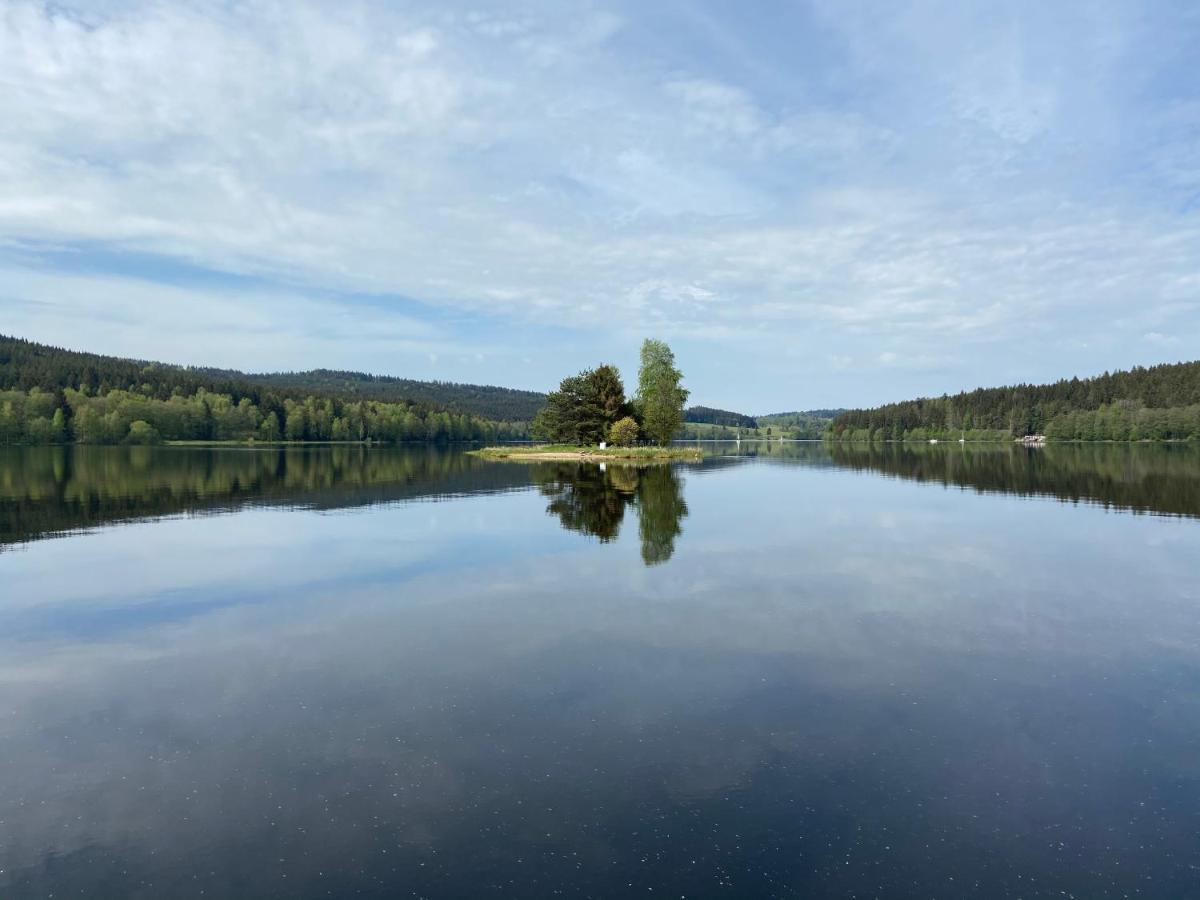 リプノ・ナト・ヴルタヴォウRiviera Lipno 415アパートメント エクステリア 写真